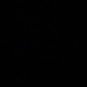 Meet your Posher, Isabel